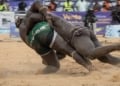 (Vidéo) Reug Reug enfonce Boy Niang et signe son retour dans l’Arène ! - wiwsport (Vidéo) Reug Reug enfonce Boy Niang et signe son retour dans l’Arène ! - wiwsport