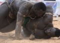 Reug Reug : « J’ai préparé ce combat en quinze jours et je suis passé de 145 à 120 kg (…) J’ai battu Boy Niang grâce à ma technique » - wiwsport Reug Reug : « J’ai préparé ce combat en quinze jours et je suis passé de 145 à 120 kg (…) J’ai battu Boy Niang grâce à ma technique » - wiwsport