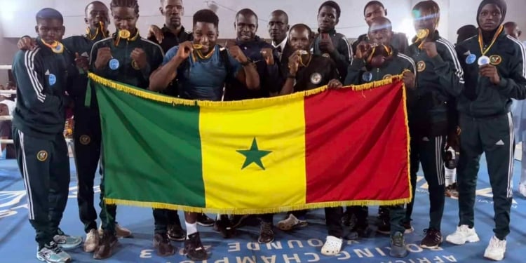 Kickboxing – 9 athlètes, 9 médailles : le Sénégal s’offre une belle moisson à Yaoundé lors des Championnats d’Afrique !