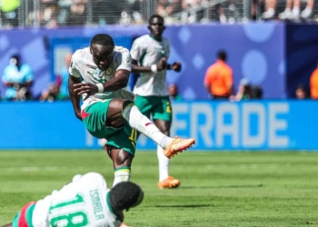 Mondial 2026 : Les Lions jouent (déjà) leur survie face à la Norvège