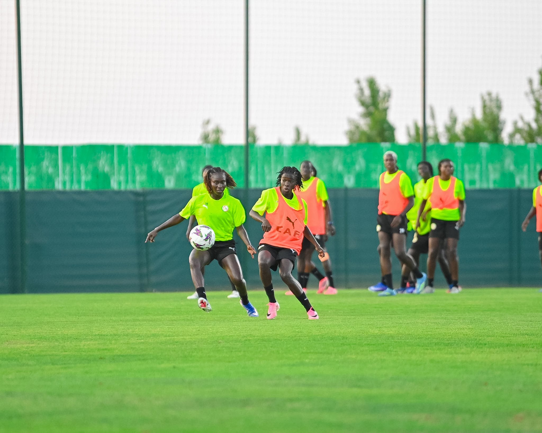 CAN Féminine 2026 : À l'assaut du premier carré final de leur histoire, les Lionnes défient l'Algérie - wiwsport CAN Féminine 2026 : À l'assaut du premier carré final de leur histoire, les Lionnes défient l'Algérie - wiwsport