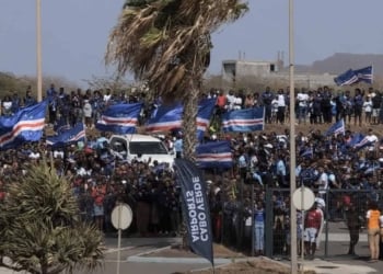 Coupe du monde 2026 : L’accueil triomphal réservé aux Requins Bleus à leur retour au pays ! - wiwsport Coupe du monde 2026 : L’accueil triomphal réservé aux Requins Bleus à leur retour au pays !