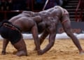 Bras de fer entre la Ligue de Dakar et la FSL : Les Présidents de Ligue prennent position et soutiennent la Fédération Sénégalaise de Lutte - wiwsport Bras de fer entre la Ligue de Dakar et la FSL : Les Présidents de Ligue prennent position et soutiennent la Fédération Sénégalaise de Lutte