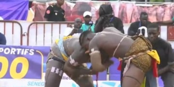 Lamb : (vidéo) Niang bu Ndaw s’impose face à Tapha Mbeur !