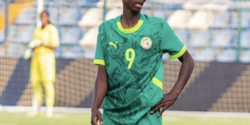 Amical : Les Lionnes s'imposent face à l'Egypte - wiwsport