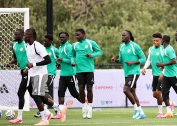 Equipe Nationale : Edouard Mendy, seul absent à l'entraînement des Lions avant le match contre la Belgique - wiwsport Equipe Nationale : Edouard Mendy, seul absent à l’entraînement des Lions avant le match contre la Belgique