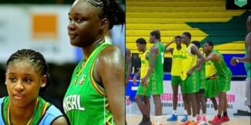 AfroBasket U18 2026 : découvrez le calendrier des Lionceaux et Lioncelles