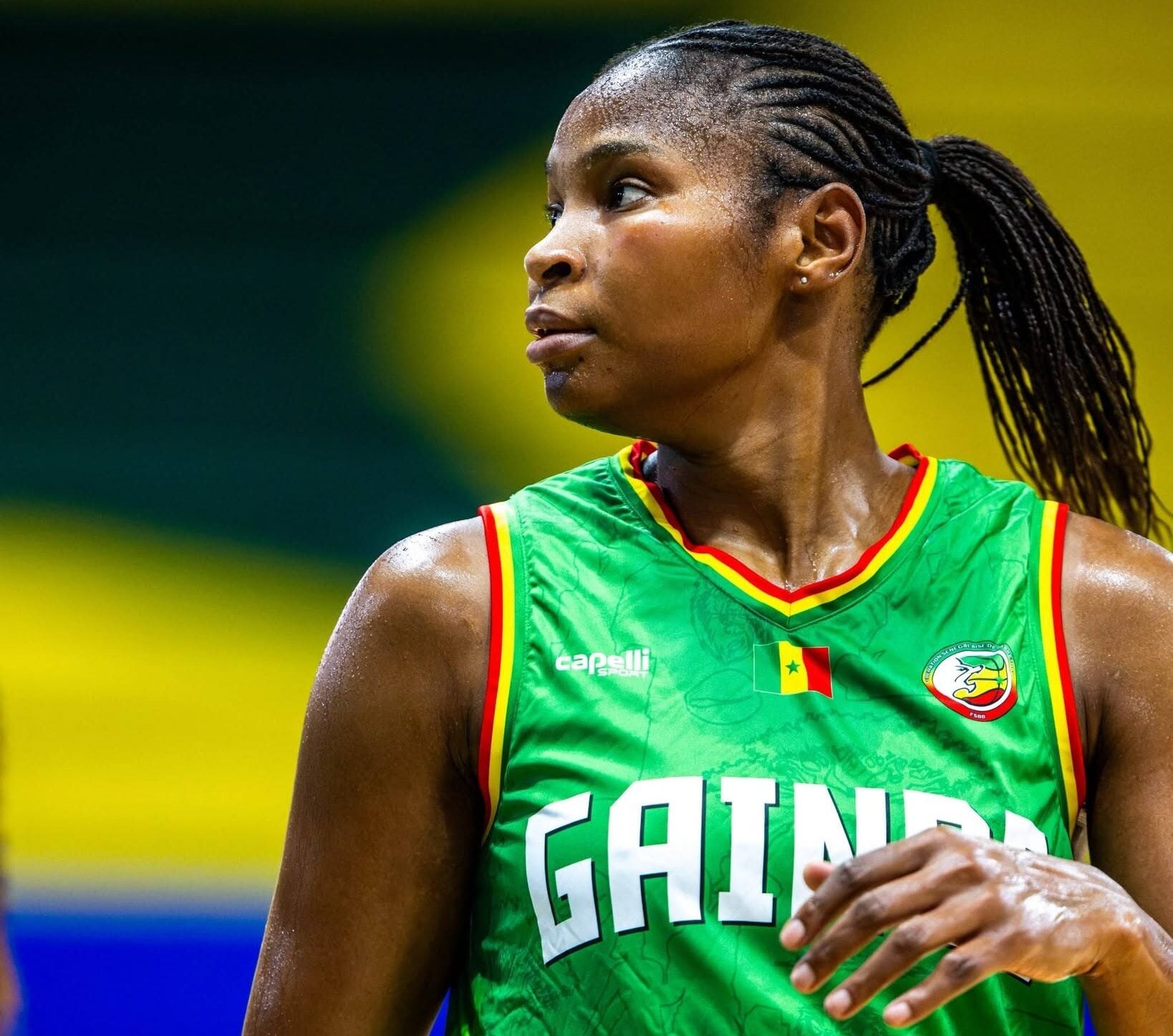 Préqualifications JO 2028 : Khadija Faye rejoint les Lionnes, Yacine Diop toujours absente - wiwsport Préqualifications JO 2028 : Khadija Faye rejoint les Lionnes, Yacine Diop toujours absente - wiwsport