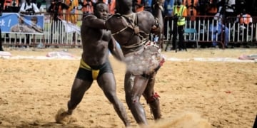 Lamb – Abdou Bakhoum réclame Modou Lô pour le retour du Fils de Falaye : “Cette revanche serait un combat choc, c’est mon adversaire préféré pour le retour de Ama…”