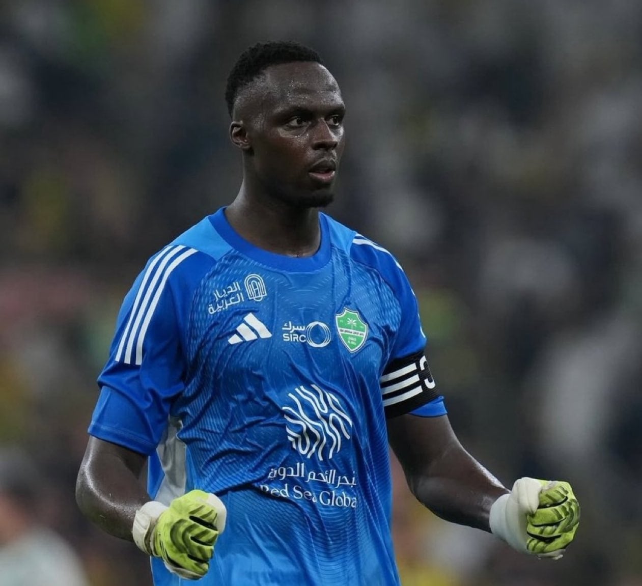 Saudi Pro League : Deux mois après sa blessure en Coupe du Monde, Edouard Mendy de retour avec Al-Ahli et titulaire contre Abha - wiwsport Saudi Pro League : Deux mois après sa blessure en Coupe du Monde, Edouard Mendy de retour avec Al-Ahli et titulaire contre Abha - wiwsport