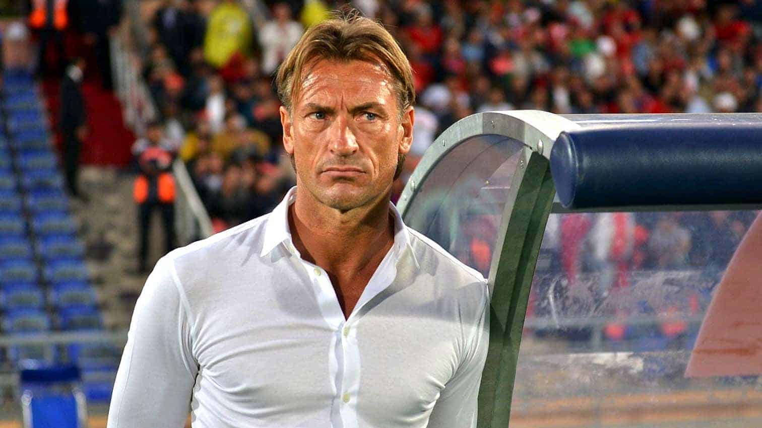 Officiel - Hervé Renard fait son retour à la tête des Éléphants de Côte d’Ivoire ! - wiwsport Officiel - Hervé Renard fait son retour à la tête des Éléphants de Côte d’Ivoire ! - wiwsport