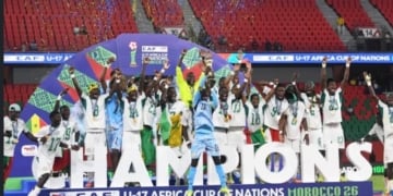 UFOA-A U17 2026 : découvrez le calendrier des Lionceaux - wiwsport UFOA-A U17 2026 : découvrez le calendrier des Lionceaux - wiwsport
