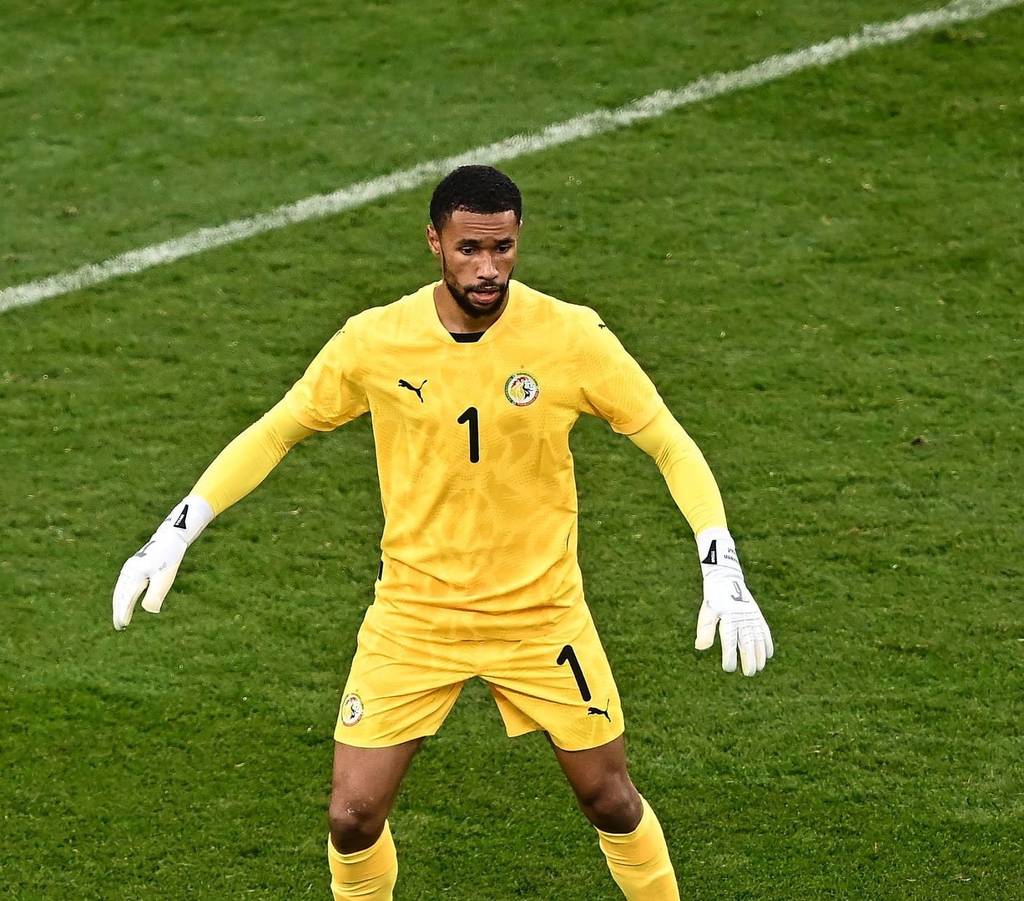 Dublin , Ireland - 6 June 2025; Senegal goalkeeper Yehvann Diouf during the international friendly match between Republic of Ireland and Senegal at the Aviva Stadium in Dublin. (Photo By Piaras ? M?dheach/Sportsfile via Getty Images)