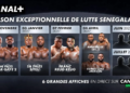Lamb : CANAL+ décroche les droits exclusifs de six grands événements pour la saison 2026-2027 !